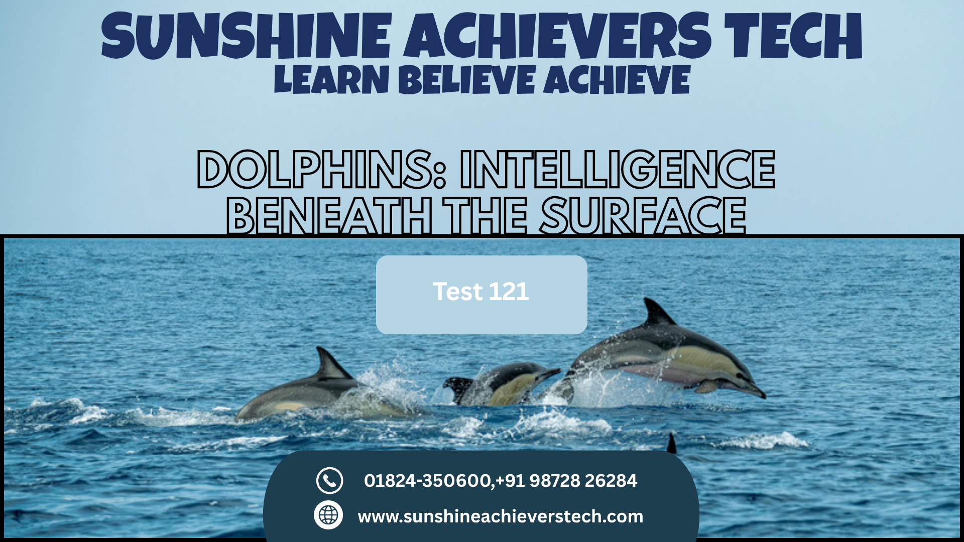 Pod of dolphins swimming together and communicating through whistles and clicks in the ocean.