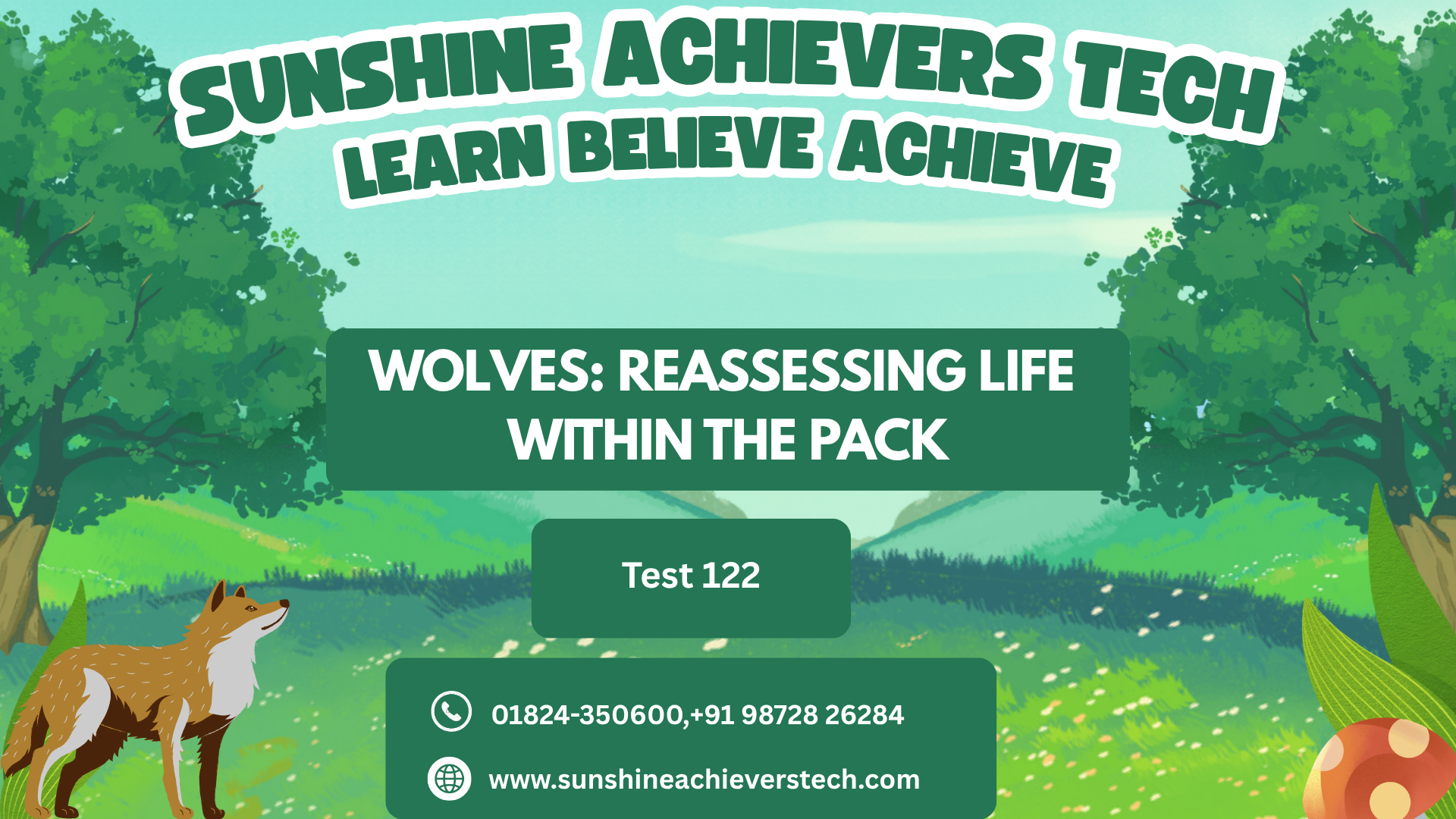 Pack of wolves communicating and hunting together in their natural habitat, demonstrating social behaviour and cooperation.