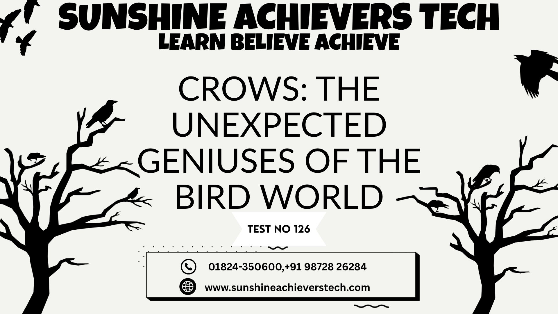 Crows using tools and interacting in an urban environment, showcasing their remarkable intelligence and problem-solving abilities.