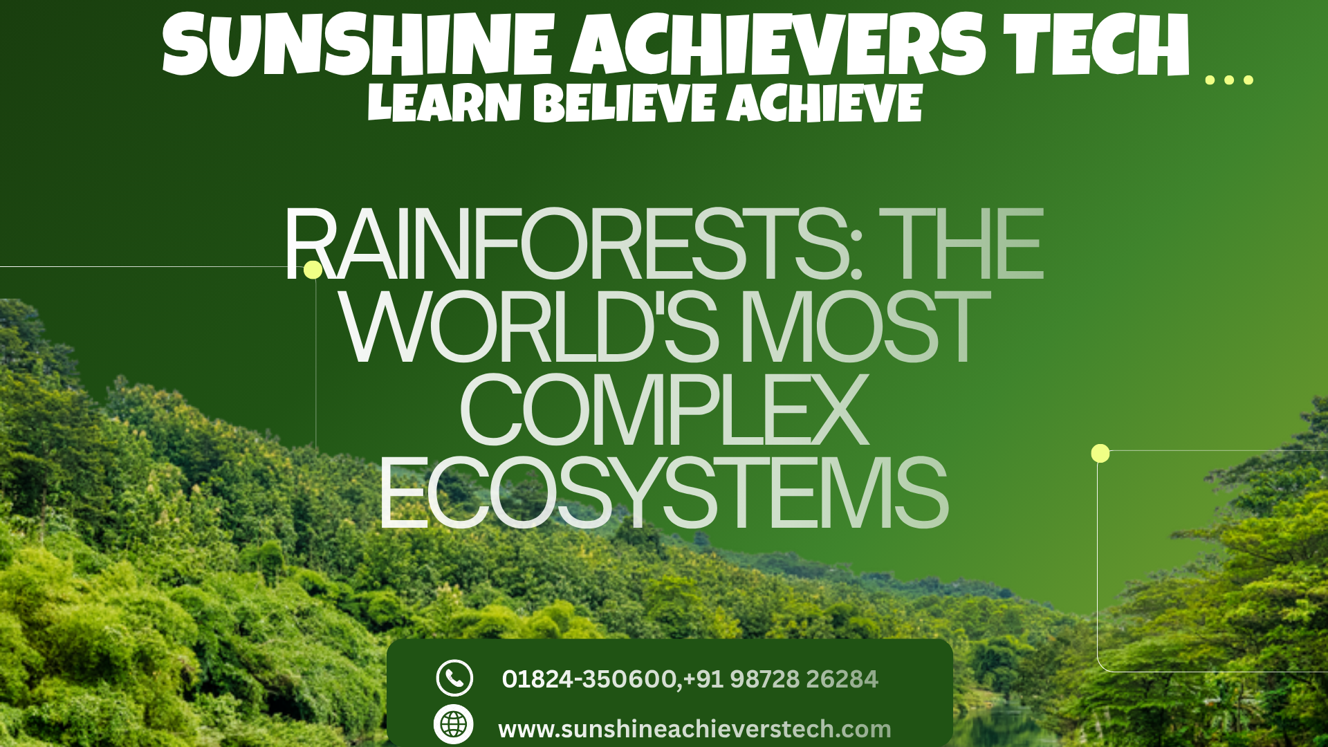Lush tropical rainforest with towering trees, dense canopy, diverse wildlife, and rich biodiversity, representing one of the world's most complex ecosystems.