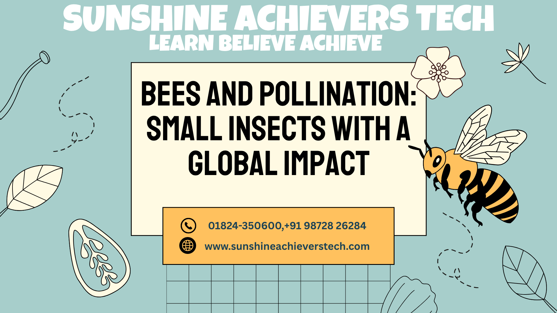 Honeybees collecting pollen from colorful flowers, illustrating their essential role in pollination, biodiversity, and global food production.