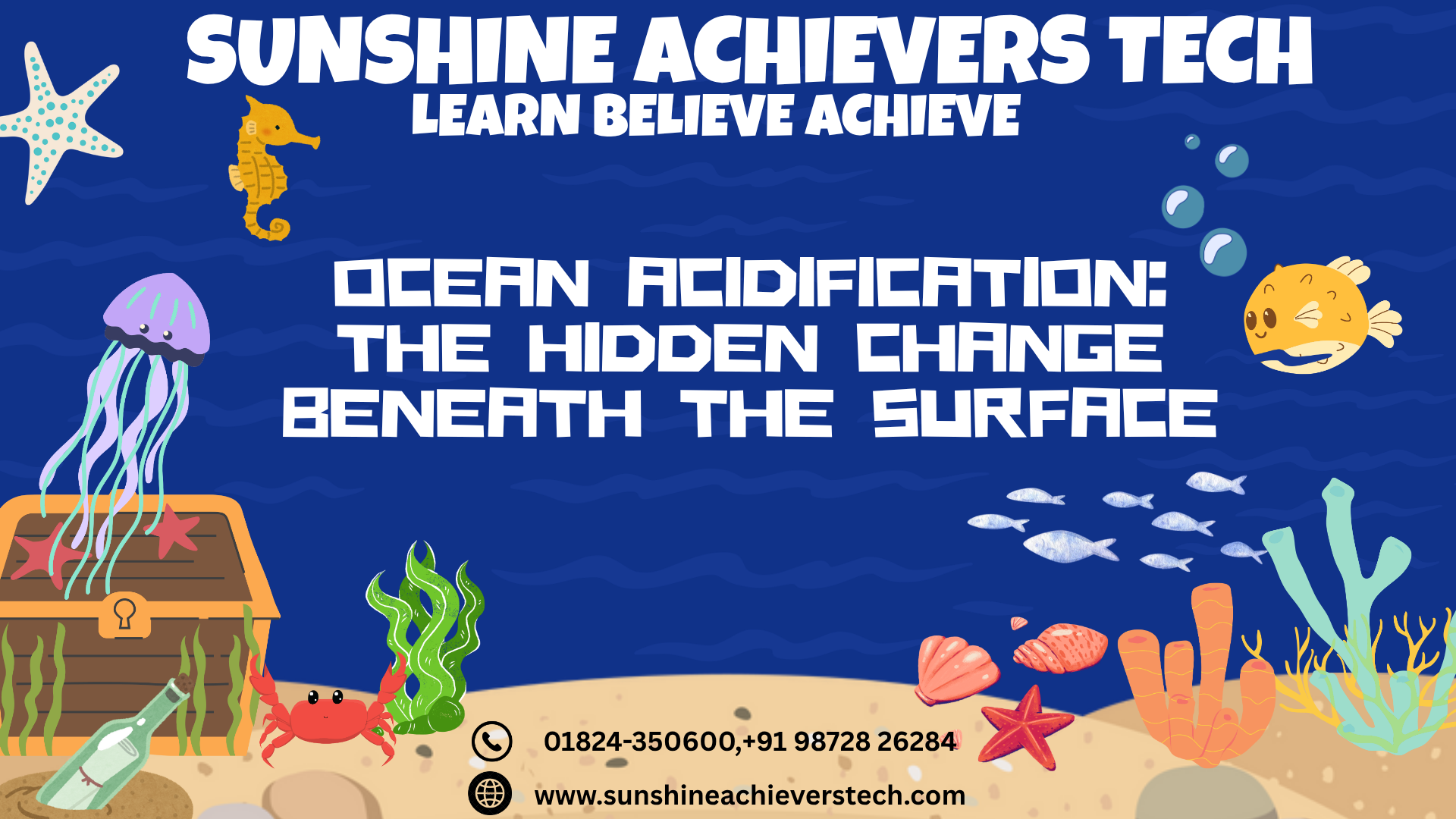 Coral reefs and shell-forming marine organisms beneath the ocean surface, illustrating the effects of ocean acidification on marine ecosystems.